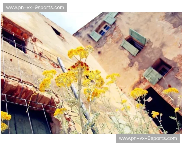 蔚蓝海岸的浪漫邂逅:尼斯与卡昂,一场穿越时空的足球情缘 蔚蓝海岸的浪漫邂逅:尼斯与卡昂,一场穿越时空的足球情缘